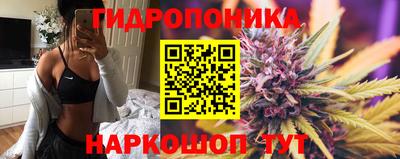 a pvp Можга