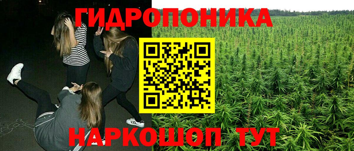Туймазы  Конопля сатива  Бошки Шишки планчик  Канабис гибрид  Вход с VPN 